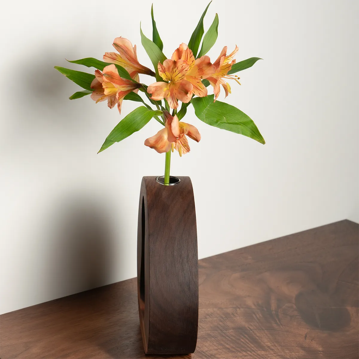 California Dreamin’ Propagation Vase