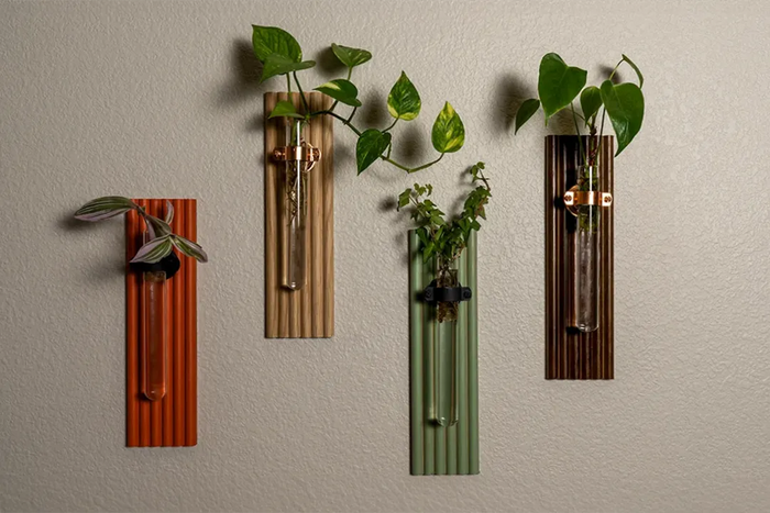 a Rosewood propagation vase on a bookshelf