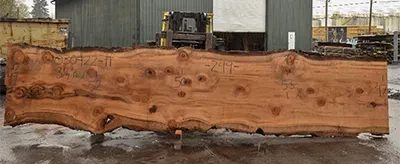 a 23 foot redwood slab