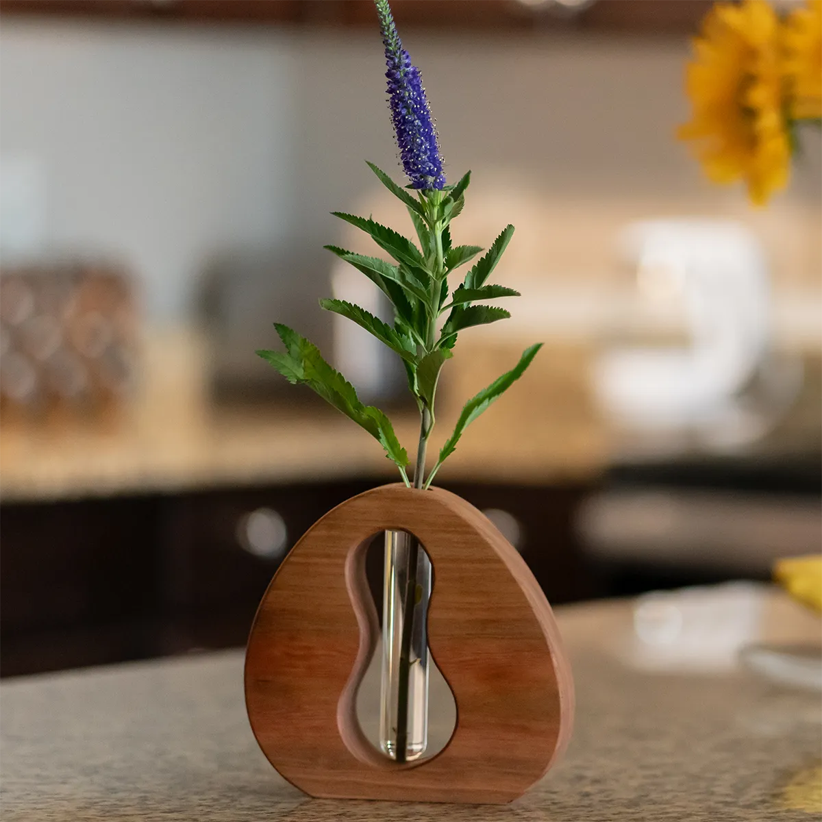 California Dreamin’ Propagation Vase