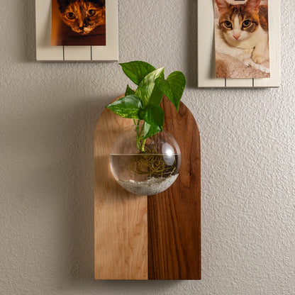 Wall Hanging Propagation Station – Fly Me To The Moon