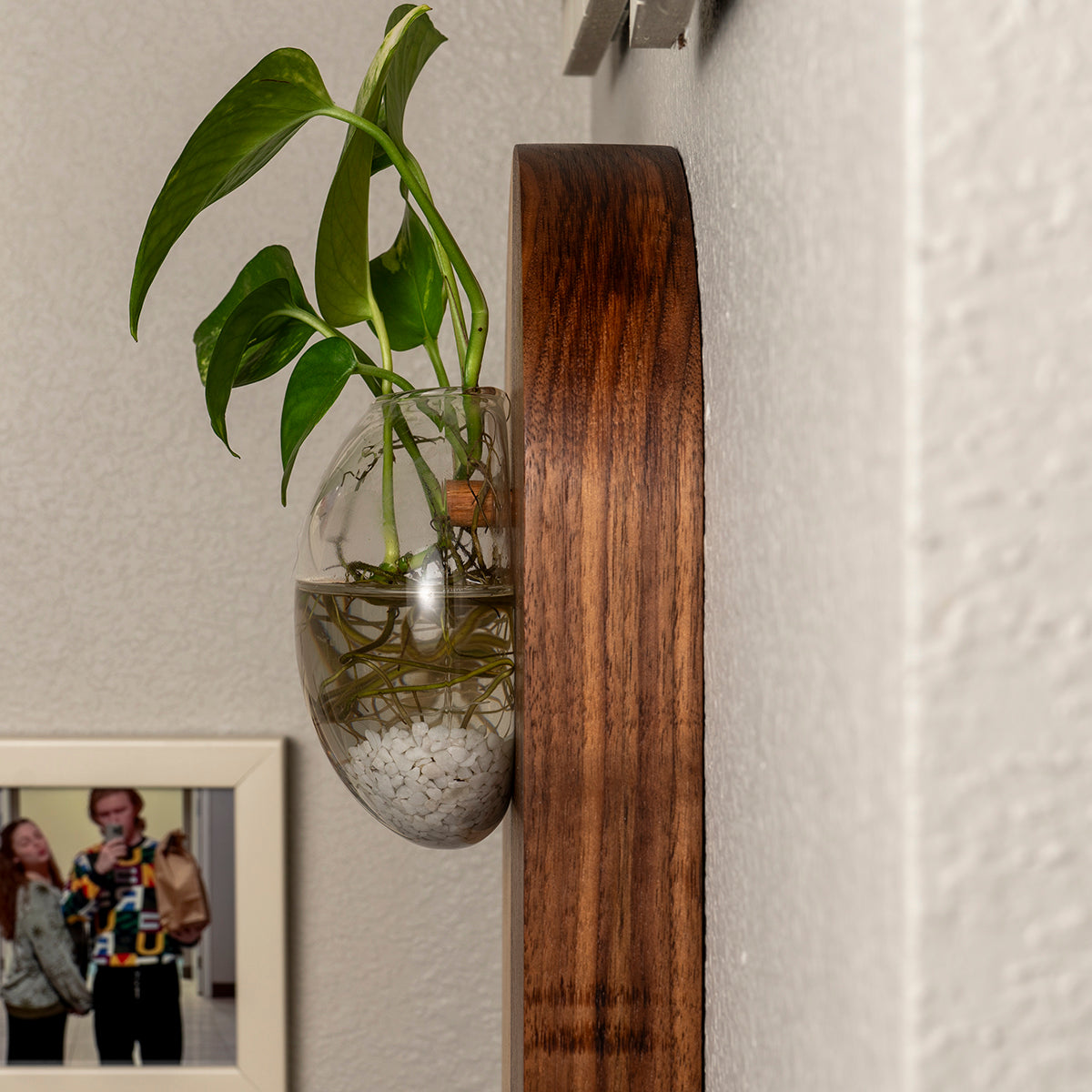 Wall Hanging Propagation Station – Fly Me To The Moon