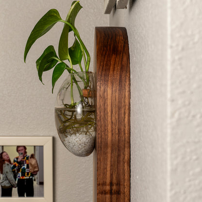 Wall Hanging Propagation Station – Fly Me To The Moon