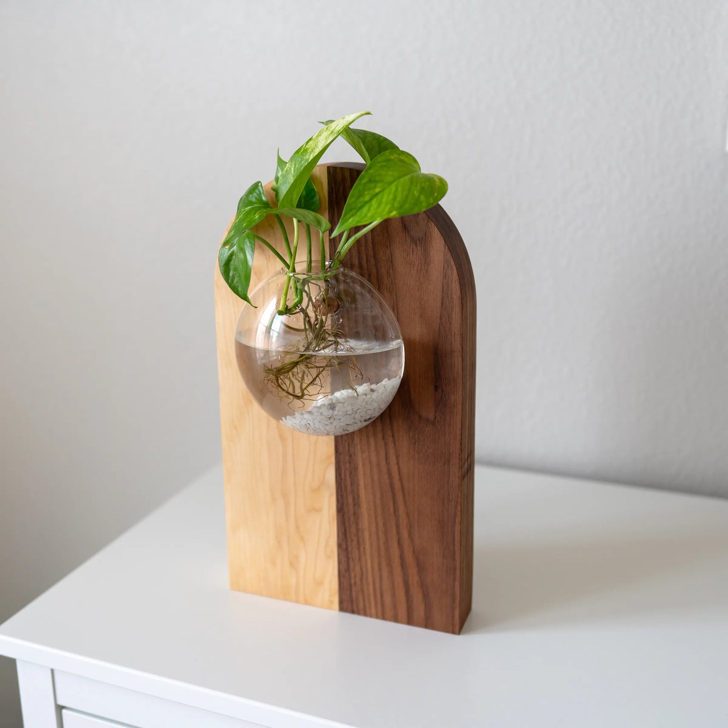 Wall Hanging Propagation Station – Fly Me To The Moon