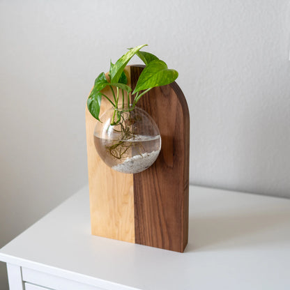 Wall Hanging Propagation Station – Fly Me To The Moon