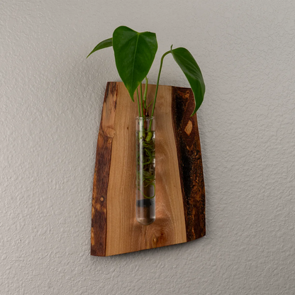 Lemon Tree Wall Hanging Propagation Vase