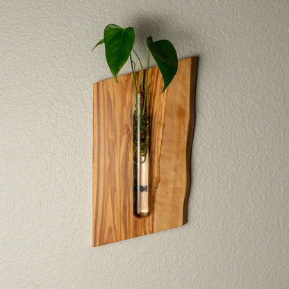 Lemon Tree Wall Hanging Propagation Vase