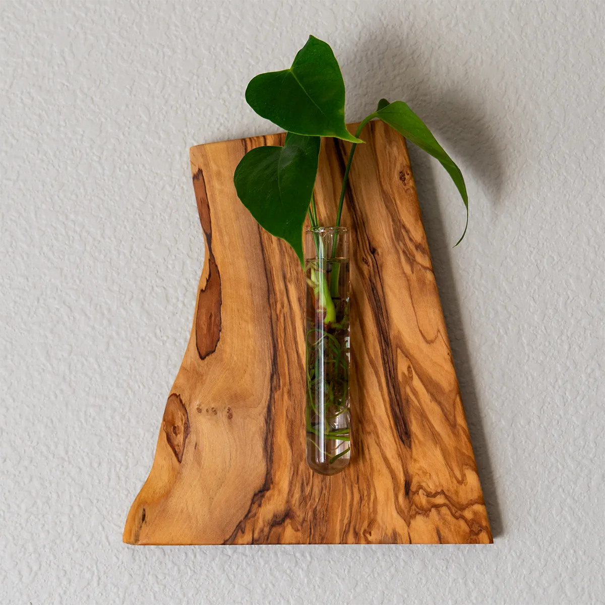Lemon Tree Wall Hanging Propagation Vase