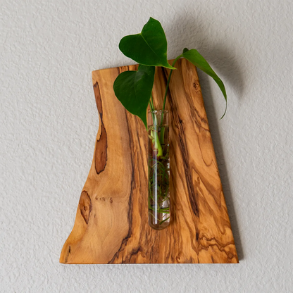 Lemon Tree Wall Hanging Propagation Vase