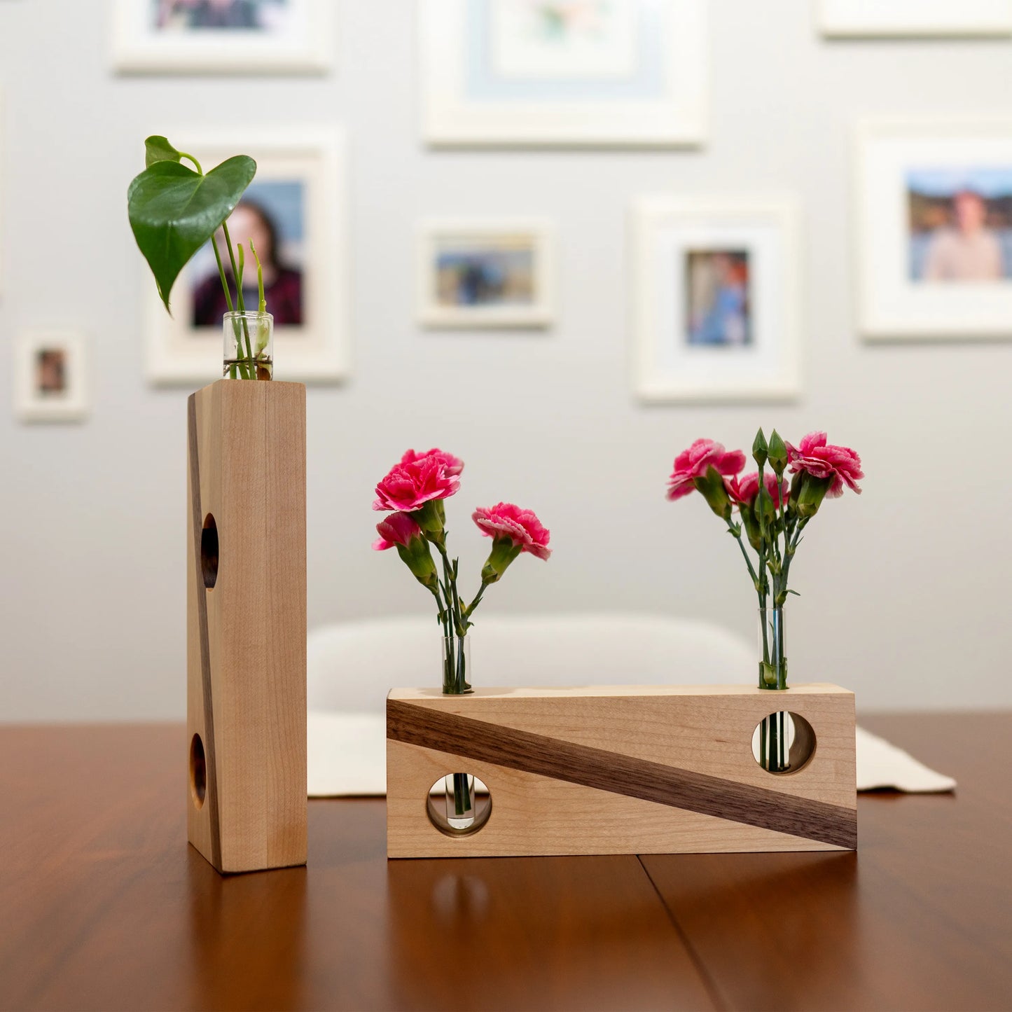 Propagation Vase - Popsicle Toes