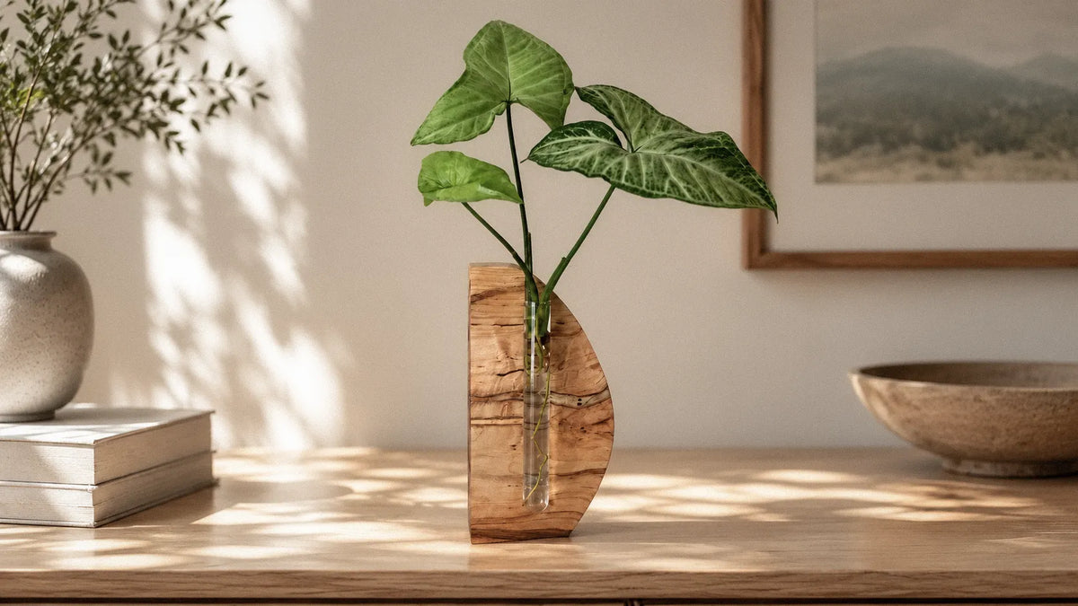 Spalted maple Aquarius propagation vase with a glass tube holding a green plant cutting on a wood table.