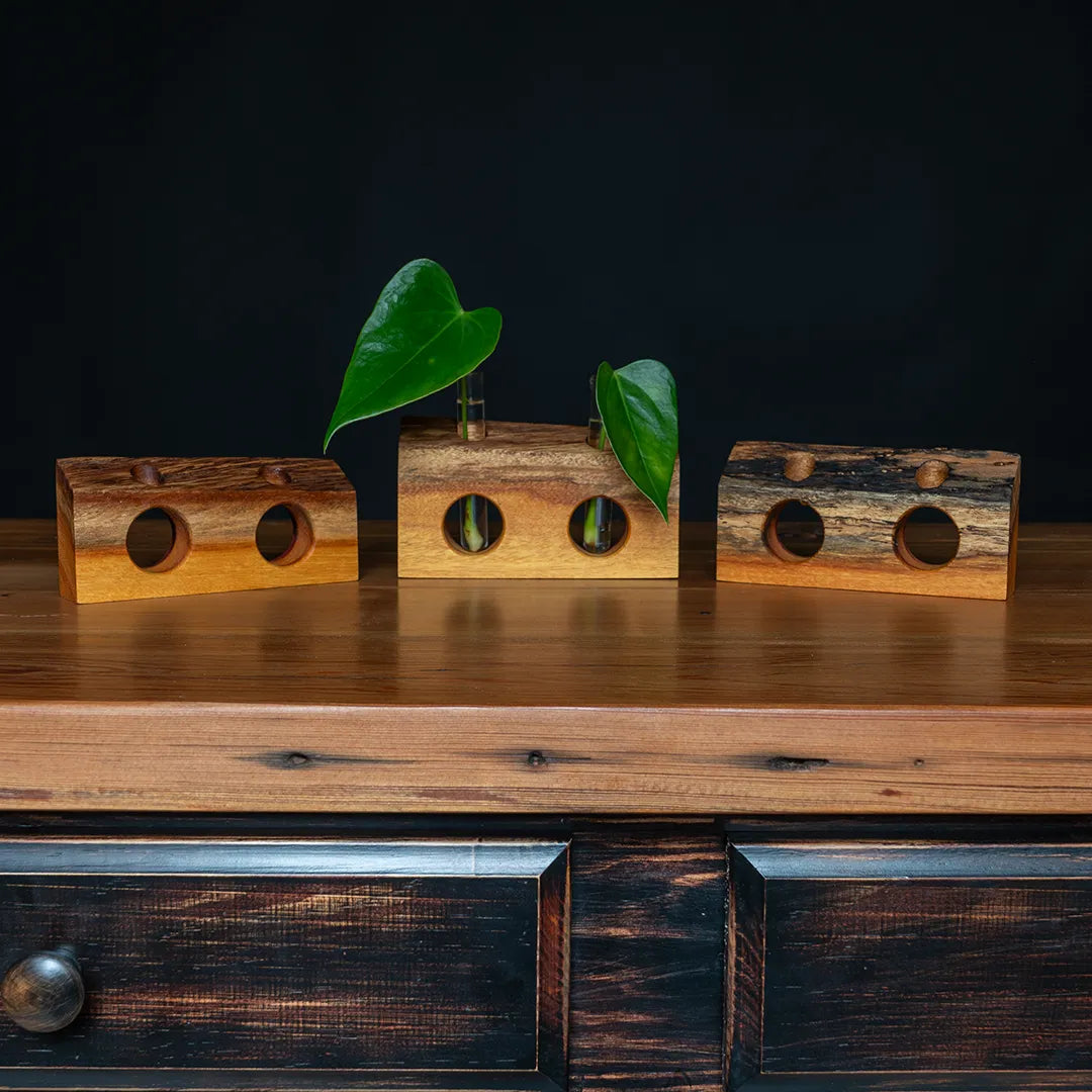 Rustic osage orange live-edge propagation vase, “Cherry Hill Park,” two-hole test-tube bud vase showing heartwood/sapwood contrast; handmade by Dovetails & Stitches.