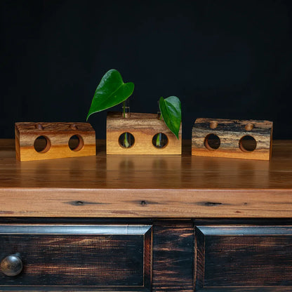 Rustic osage orange live-edge propagation vase, “Cherry Hill Park,” two-hole test-tube bud vase showing heartwood/sapwood contrast; handmade by Dovetails & Stitches.
