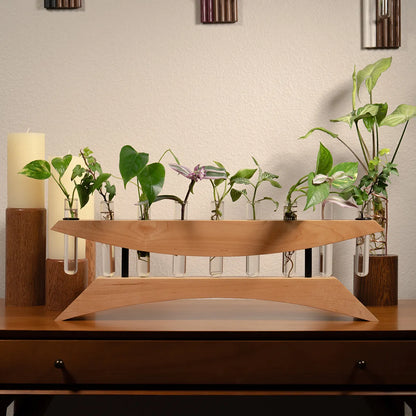Handmade plant propagation vase in light maple hardwood with sleek ebony supports, 7-tube display