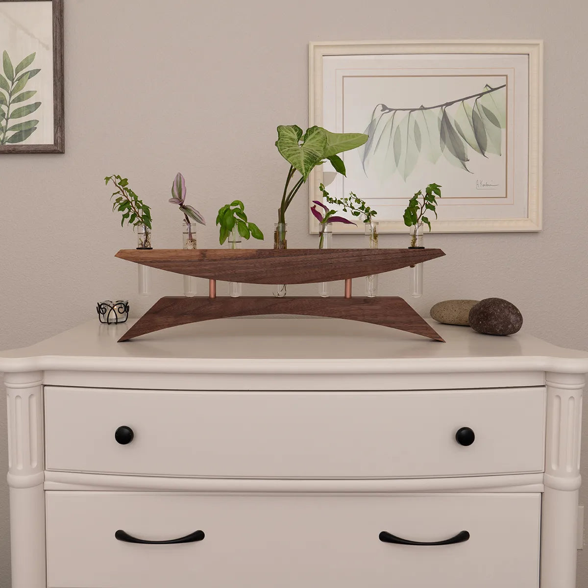 East of the Sun walnut propagation station holding cuttings on an off white dresser