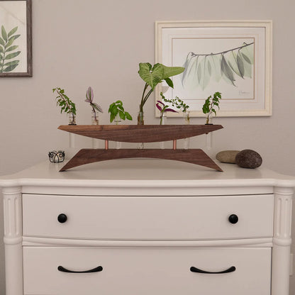 East of the Sun walnut propagation station holding cuttings on an off white dresser