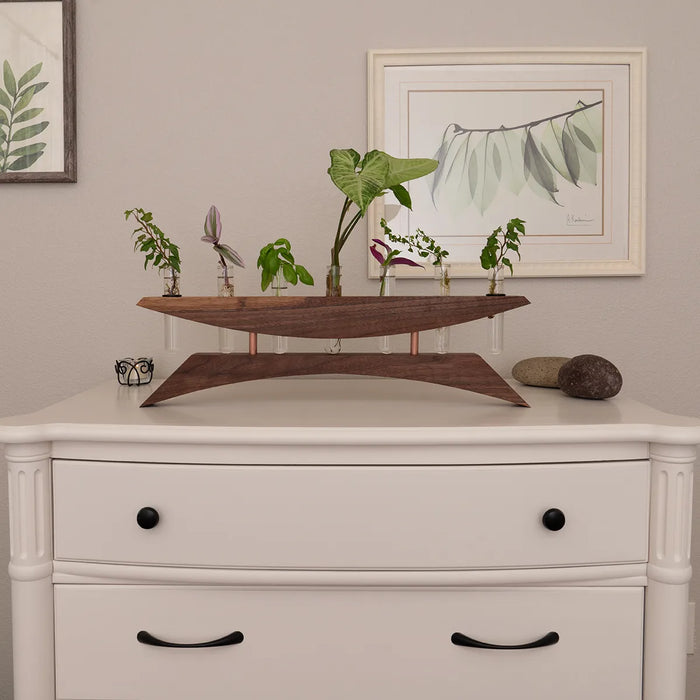 East of the Sun walnut propagation station holding cuttings on an off white dresser
