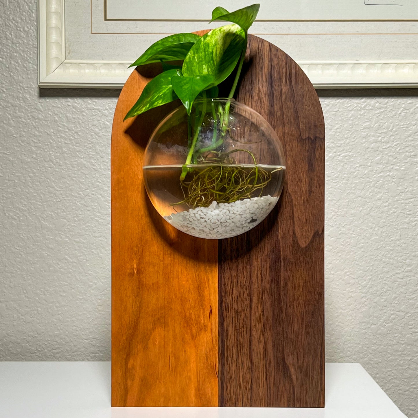 Wall Hanging Propagation Station – Fly Me To The Moon