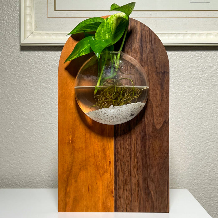 Wall Hanging Propagation Station – Fly Me To The Moon
