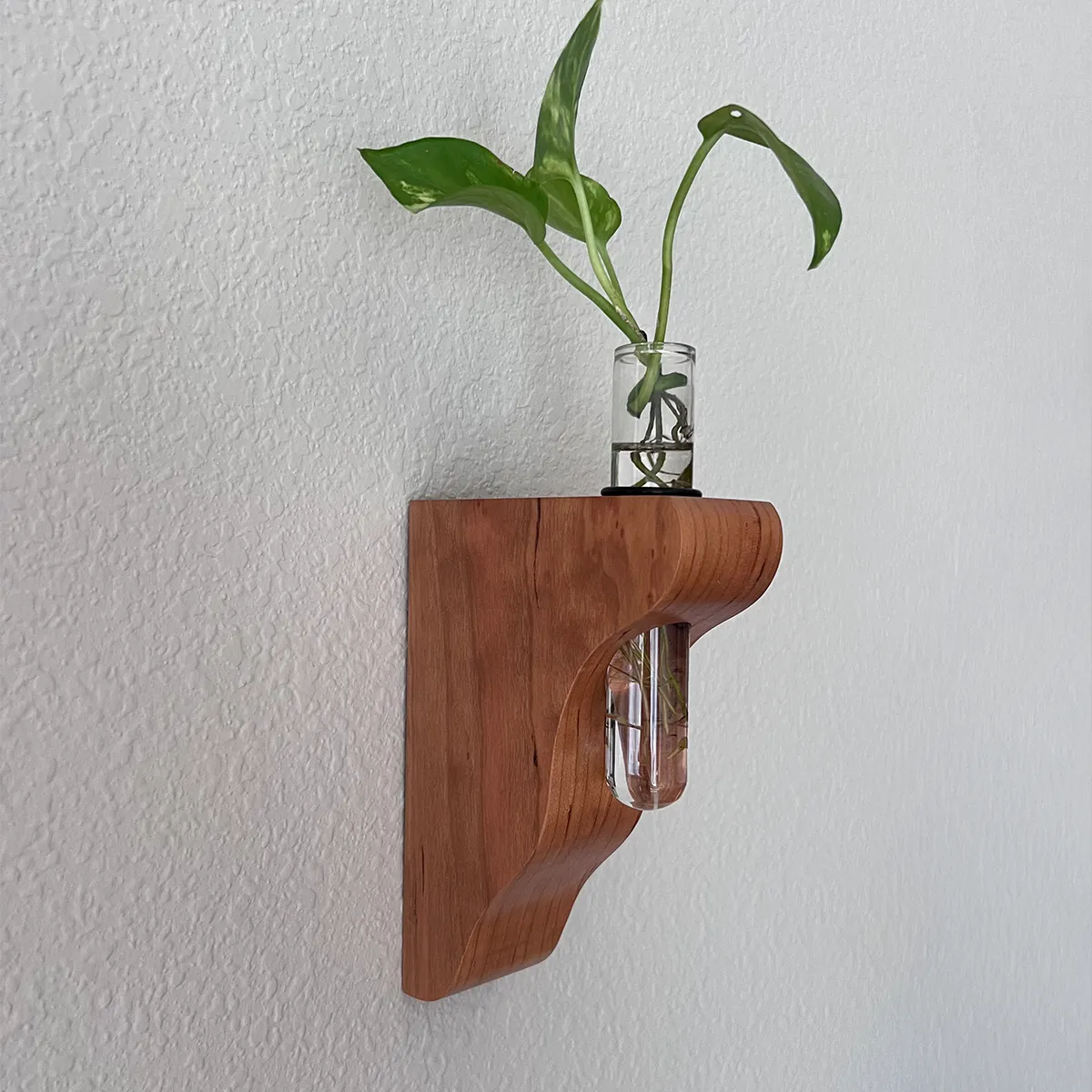 Hang On Sloopy wall-mounted propagation station in cherry, handcrafted wood vase holder with glass tube for plant cuttings, modern wall decor for plant lovers