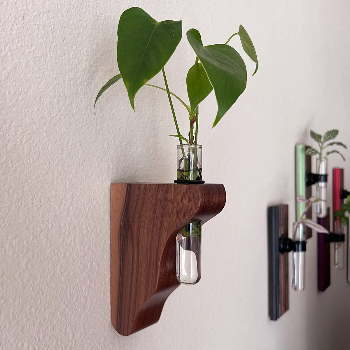 Walnut wall-mounted propagation vase with curved corbel design and glass tube for plant cuttings — a unique, handcrafted gift for plant lovers.