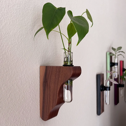 Walnut wall-mounted propagation vase with curved corbel design and glass tube for plant cuttings — a unique, handcrafted gift for plant lovers.