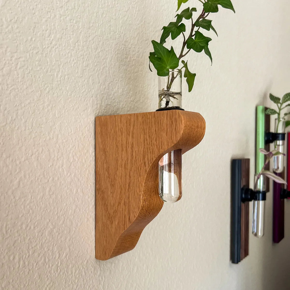 Hang On Sloopy wall-mounted propagation station in oak, sculptural wood vase holder with glass tube for plant cuttings, modern wall decor