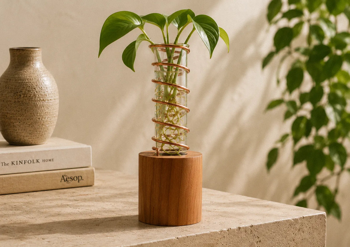 The Lean on Me propagation vase: a cherry base and copper coil holding a rooted cutting