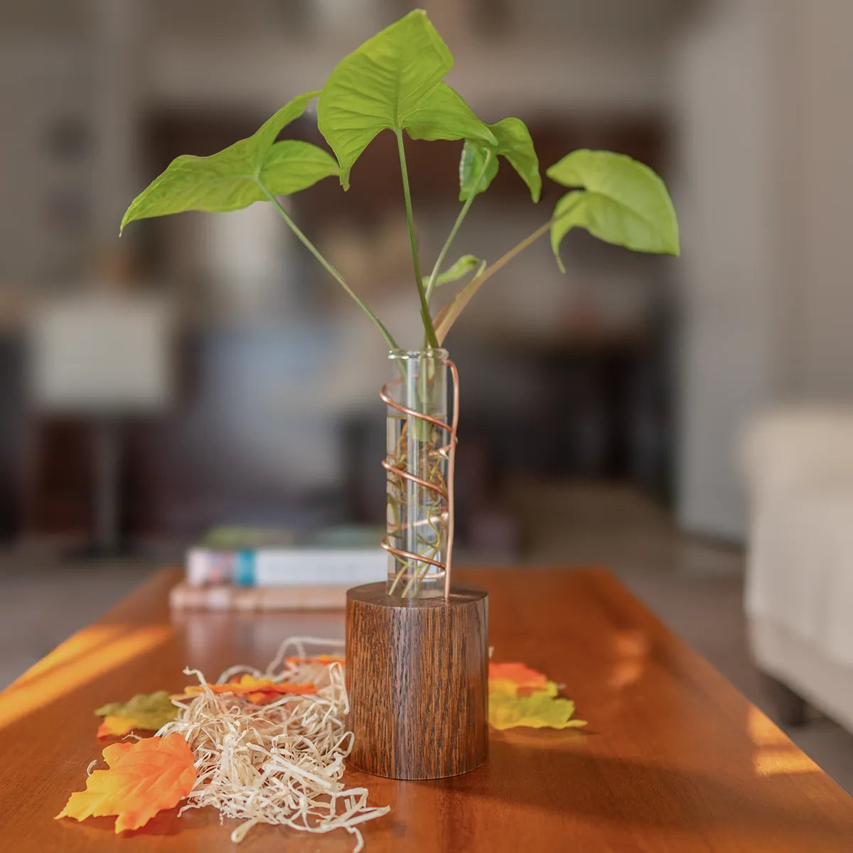Lean on Me propagation vase displayed on a coffee table, adding a natural, handmade touch to modern home décor.