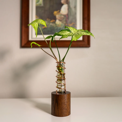 Lean on Me propagation vase made from solid oak with a spiral copper support and glass test tube, standing upright on a wood base