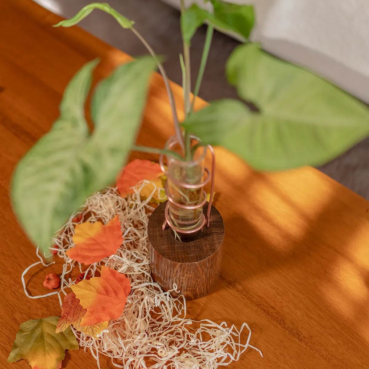 Top-down view of the Lean on Me propagation vase showing circular oak base and copper spiral cradling a glass tube