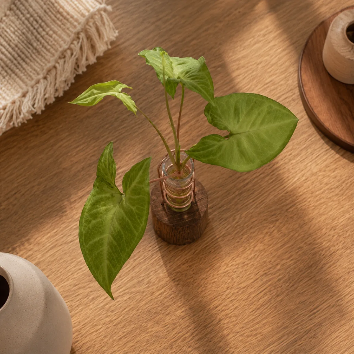 a top view of Dovetails and Stitches Lean on Me propagation vase