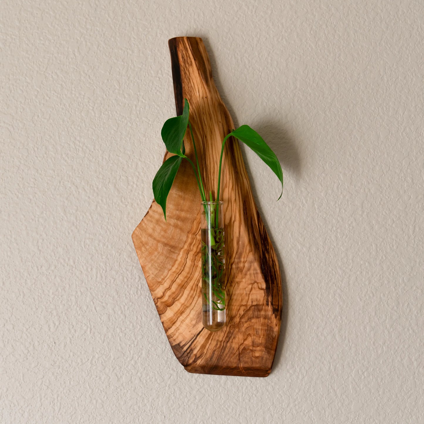 Lemon Tree Wall Hanging Propagation Vase