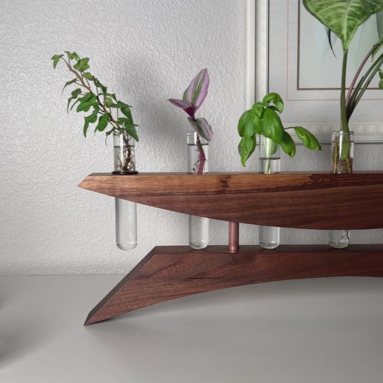 Short video showcasing the walnut East of the Sun handmade plant propagation vase in slow motion