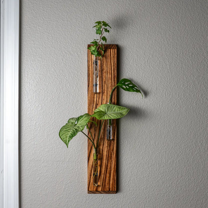 Handcrafted zebrawood wall-mounted propagation station with two glass tubes, holding leafy plant cuttings, a unique botanical décor piece and thoughtful gift for plant lovers.