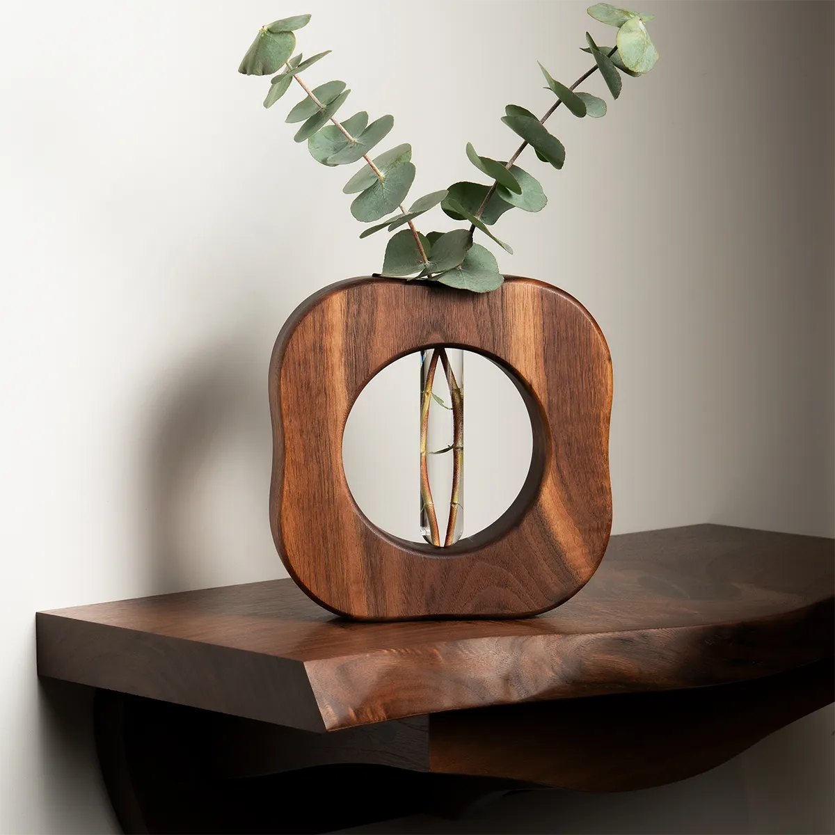 Will It Go Round in Circles propagation vase in walnut – front view showing round glass tube and minimalist design.