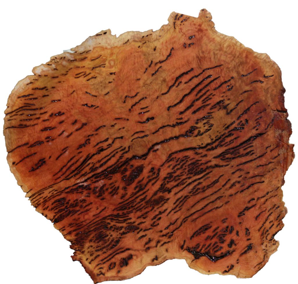 live edge table round red river gum cookie