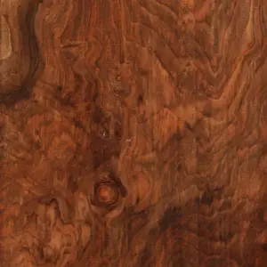 Bastogne Walnut